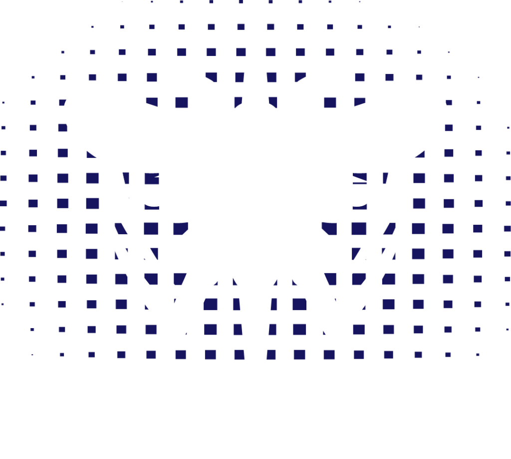 Insektor Logo – Experte für maßgefertigten Insektenschutz